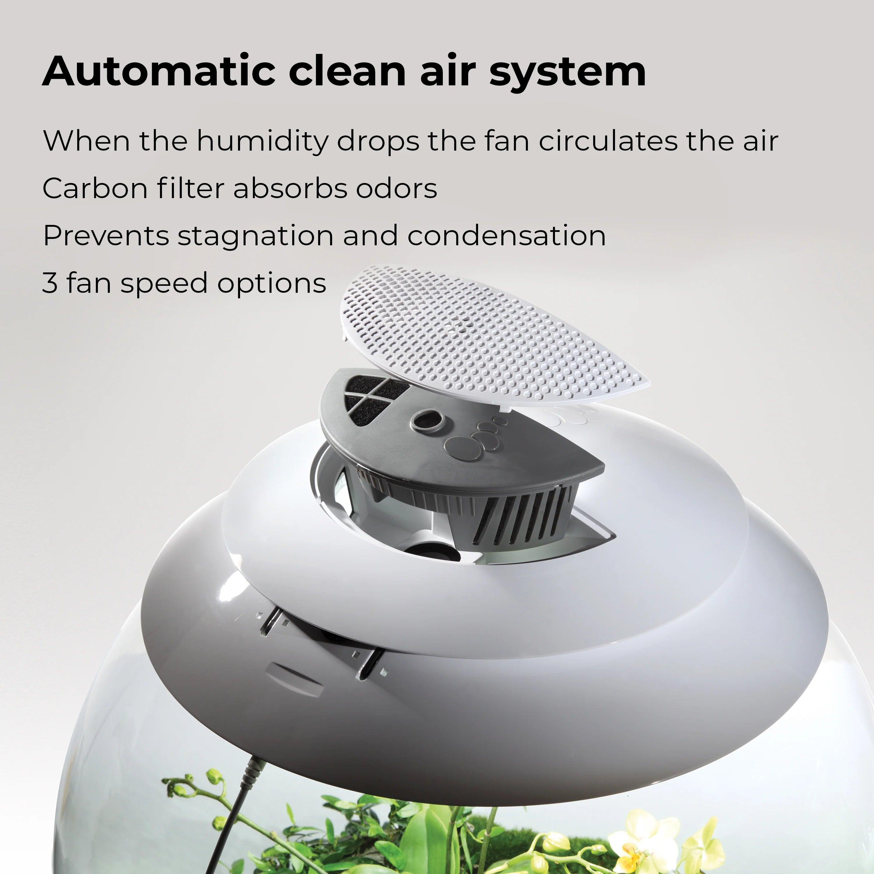 AIR 60 Terrarium