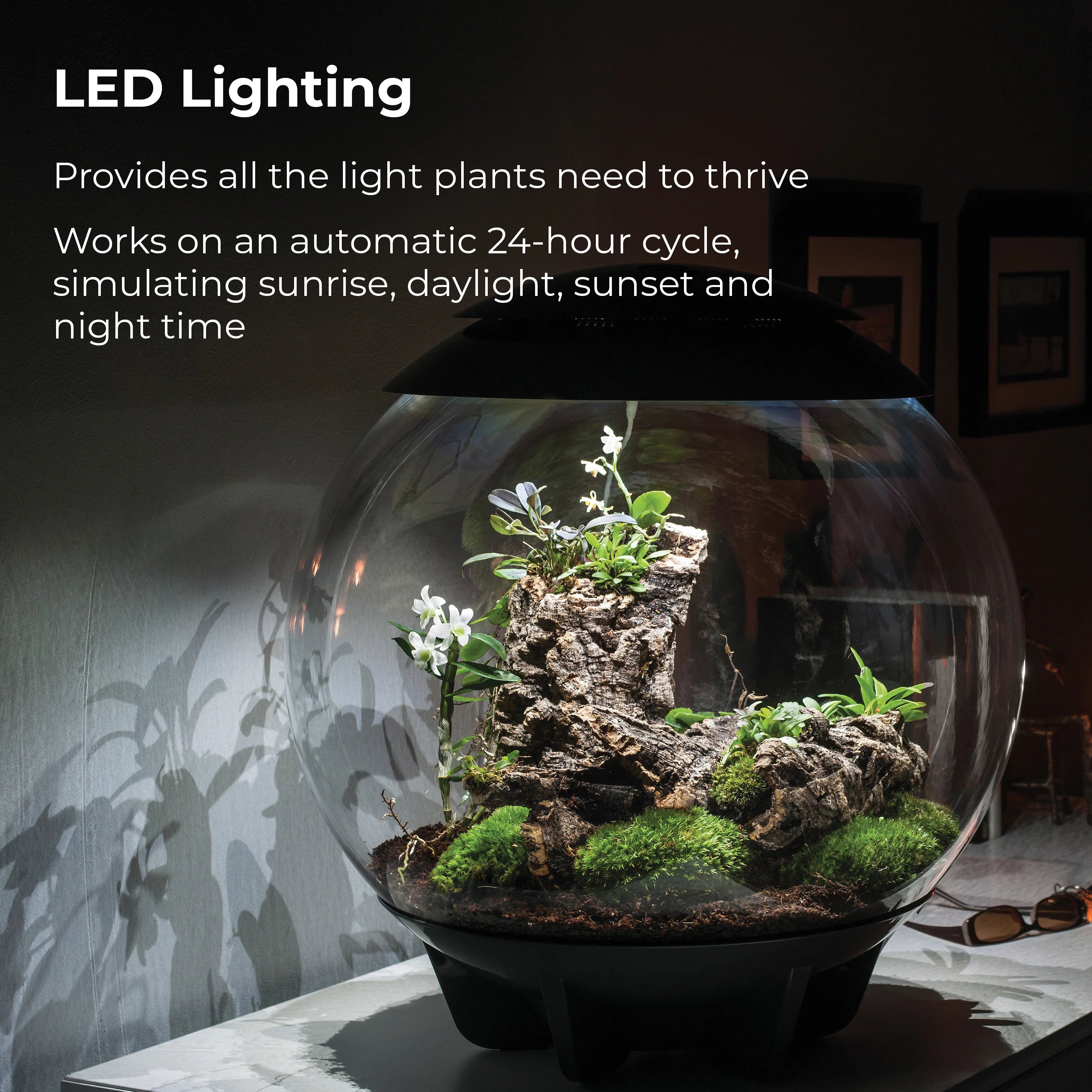 AIR 60 Terrarium