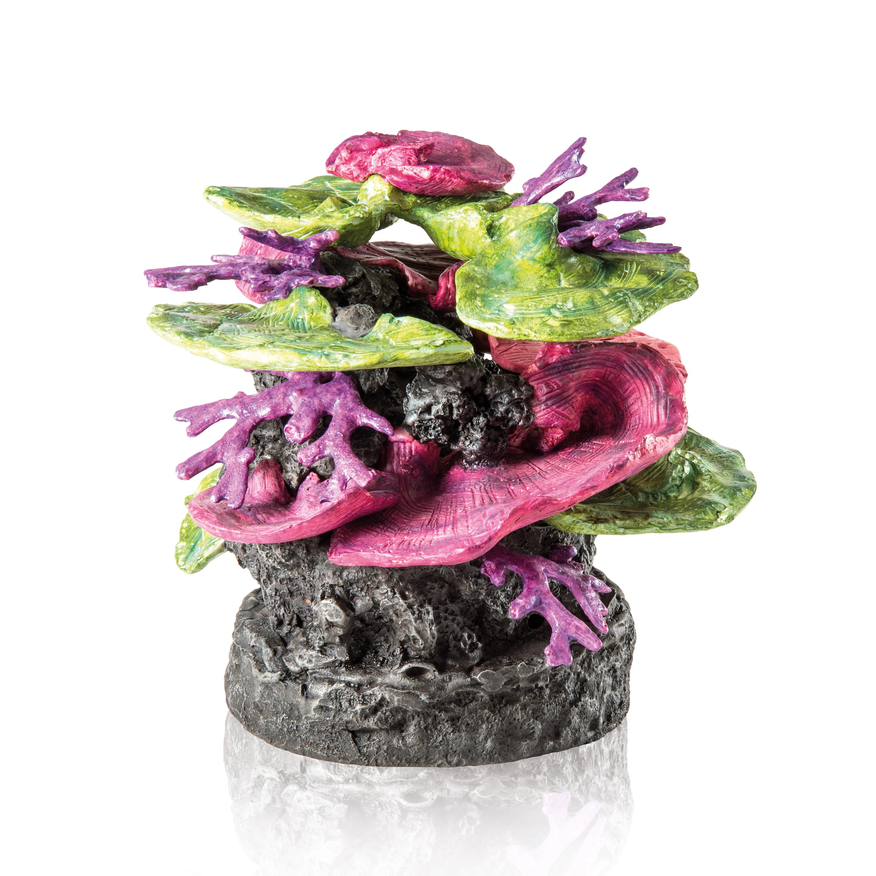 Coral Ridge Sculpture