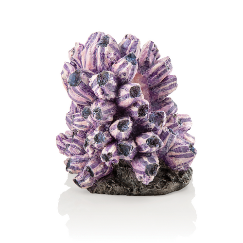 Barnacle Cluster Sculpture