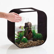 Scratch Remover Polish