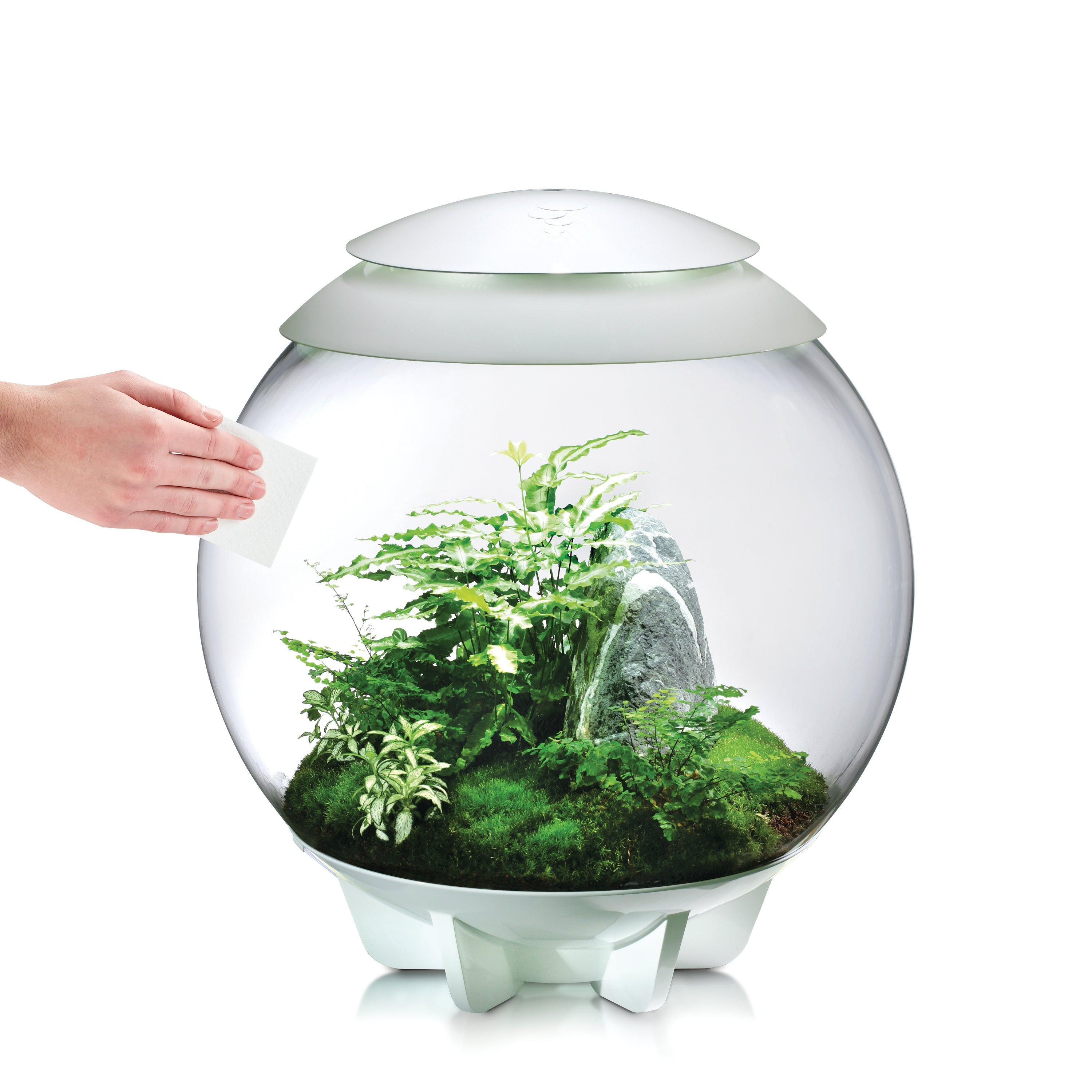 Scratch Remover Polish