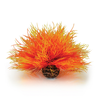 Aquatic Sea Lily Orange/ Flame