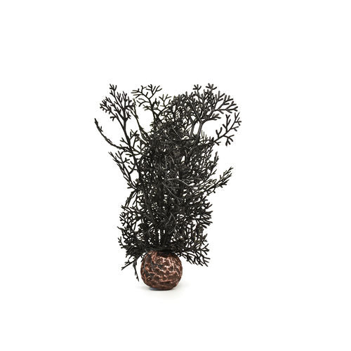 Sea Fan Small Black