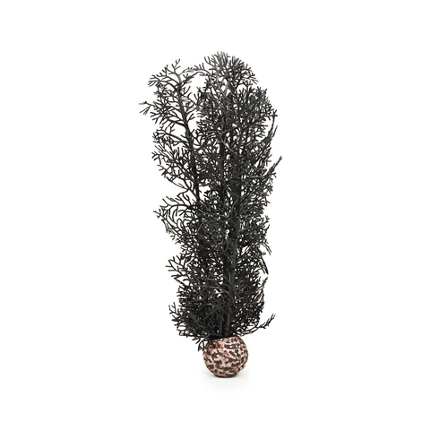 Sea Fan Medium Black