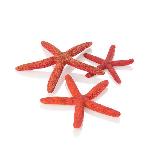 Sea Stars Set 3 Red