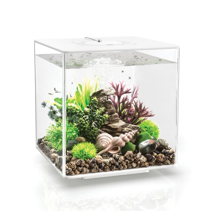 biOrb CUBE 30L Aquarium MCR-LED