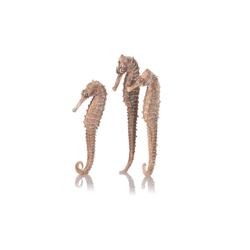 Seahorse Set of 3 Natural