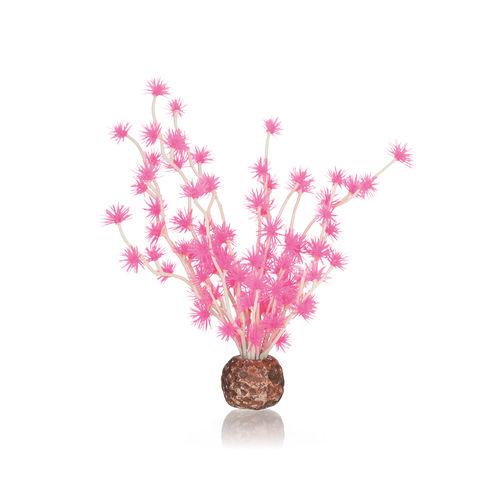 Bonsai Ball Pink