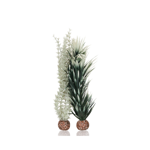 Ambulia Medium Grey/Green