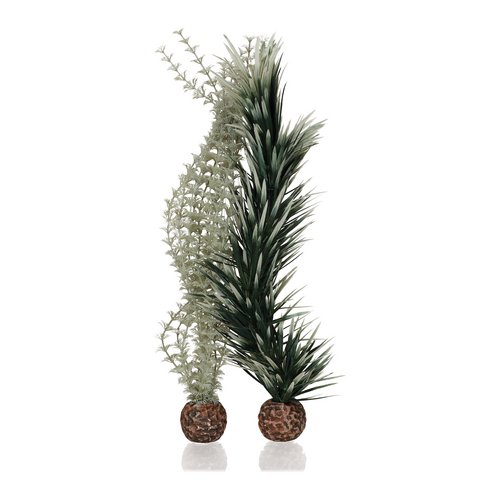 Ambulia Large Grey/Green