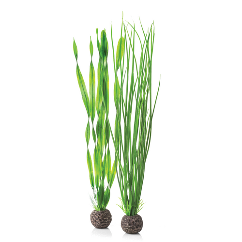 Easy Plant Set 2 Large Green
