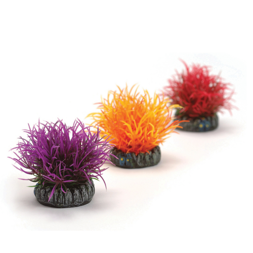 Aquatic Color Ball Set 3