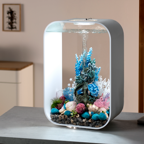 Blue Reef Sculpture