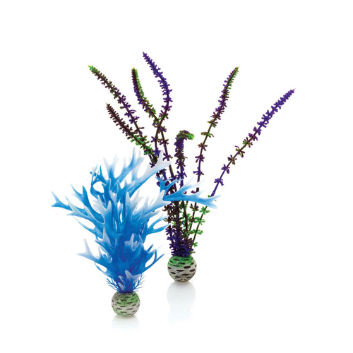 Plant Set 2 Medium Blue/Purple
