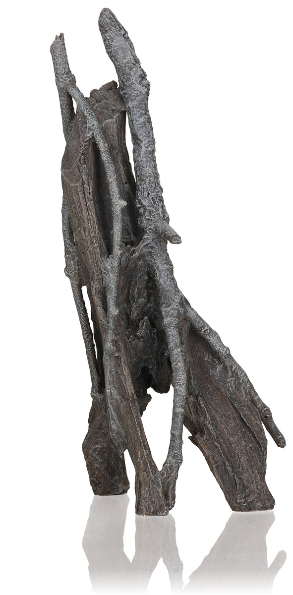 Amazonas root L