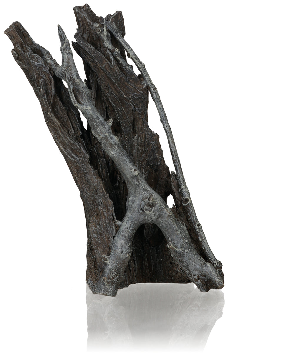 Amazonas root M