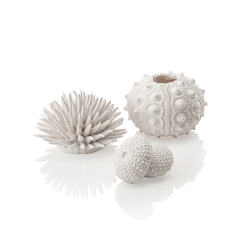 Sea Urchins Set White