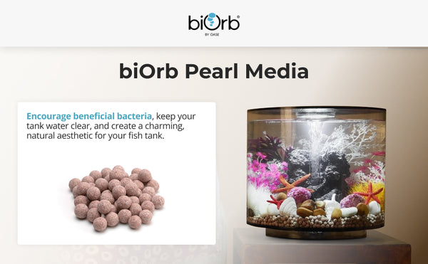 BIORB PEARL MEDIA