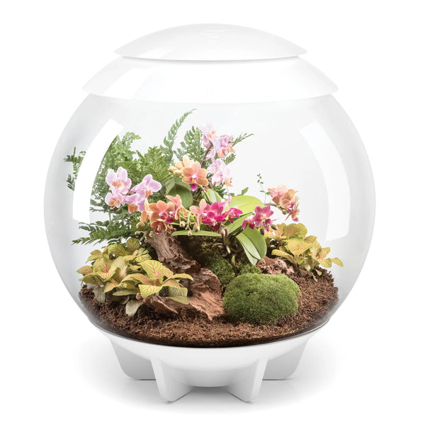 AIR 60 Terrarium