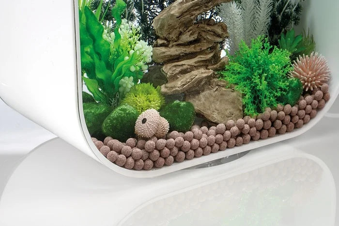 BIORB PEARL MEDIA