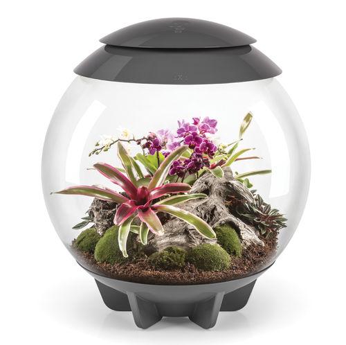 AIR 60 Terrarium