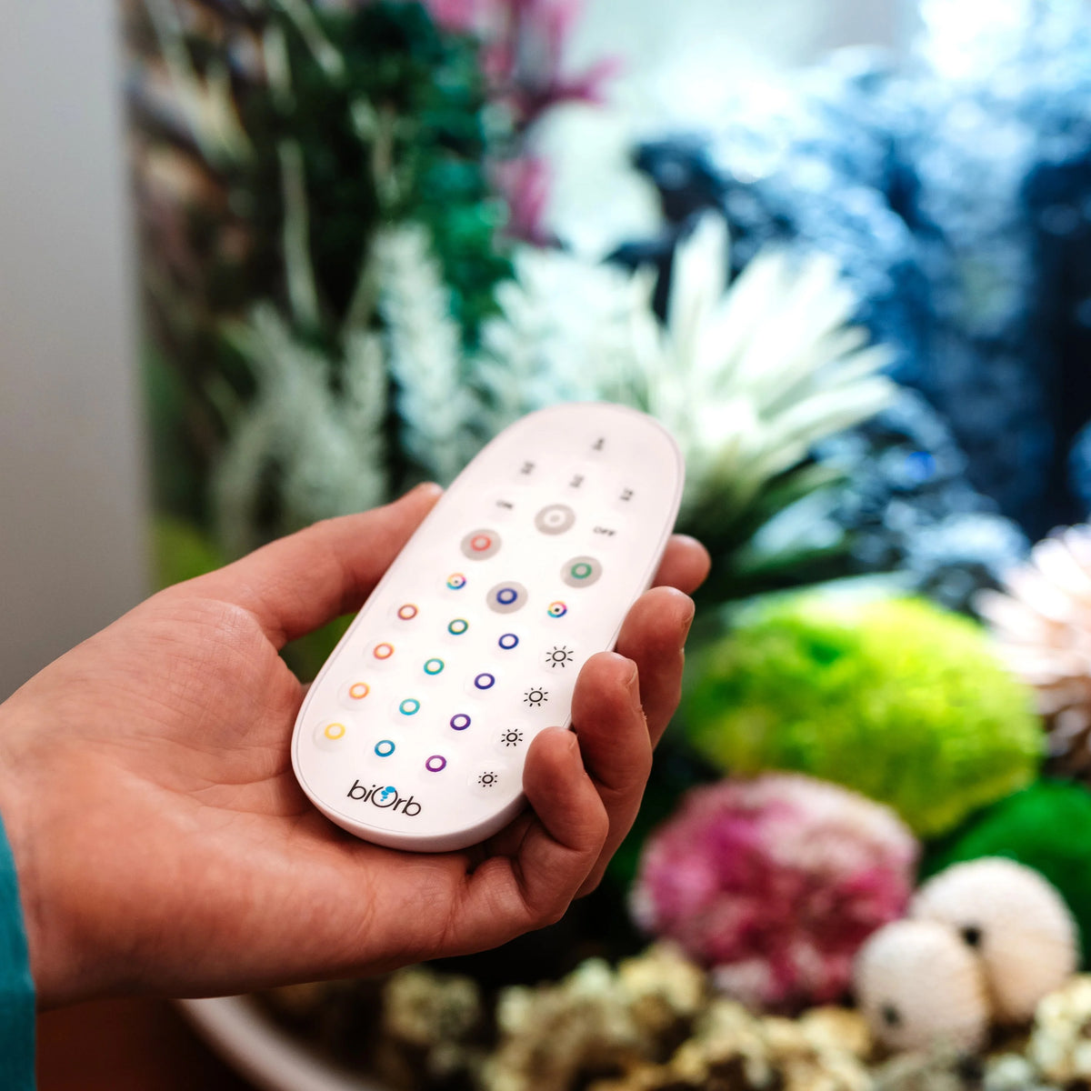 MCR Remote Control – biorb.ca