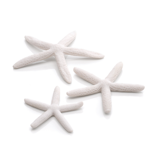 Starfish Ornament White