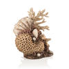Coral-Shells Sculpture natural