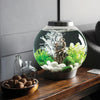 biOrb Classic 15L Aquarium MCR-LED