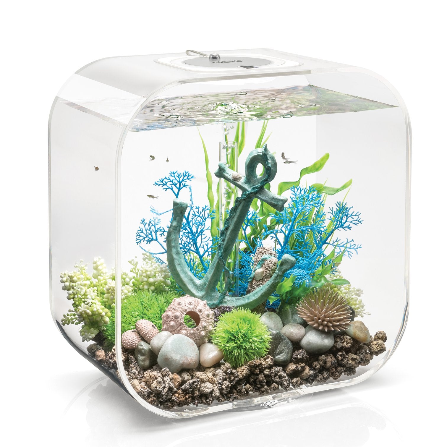 4年保証』 biOrb（バイオーブ） チューブ 30L MCR ホワイト 魚用品