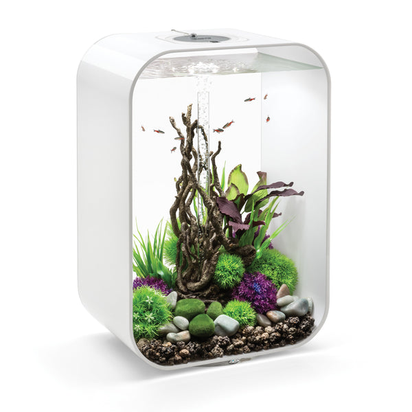 biOrb LIFE 60 Aquarium with MCR