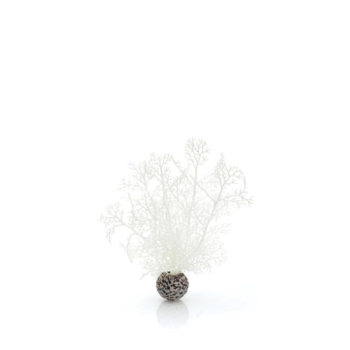 Sea Fan Small White