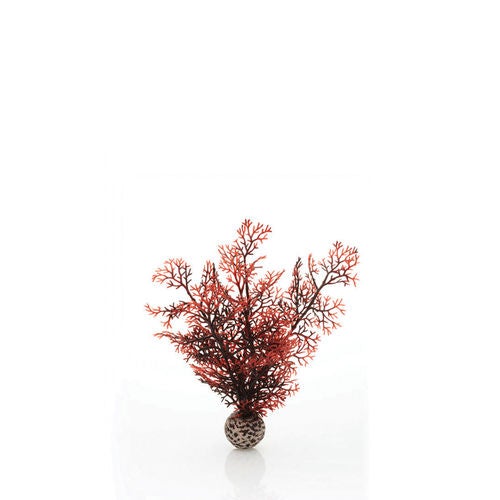 Sea Fan Small Crimson