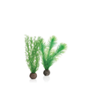 Feather Fern Set Small Green
