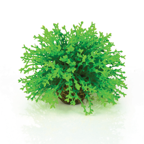 Topiary Ball Green