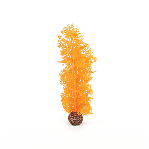 Sea Fan Medium Orange