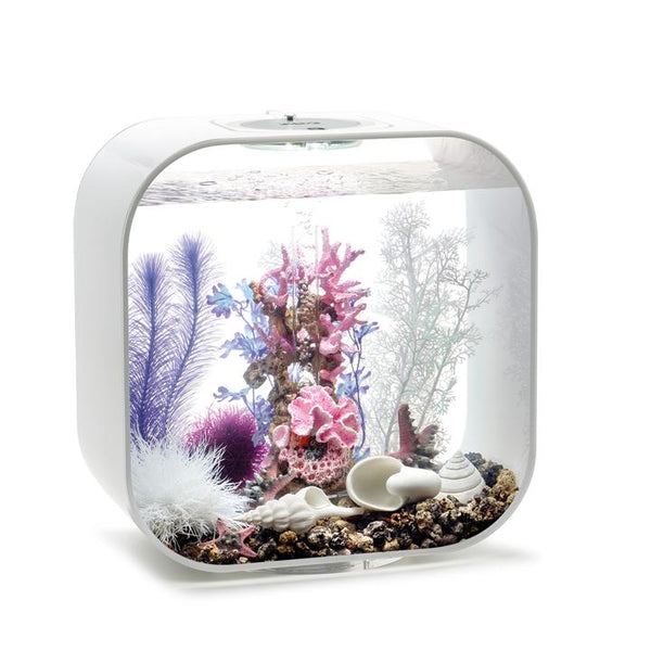 Decor Set - Pink Ocean 30L
