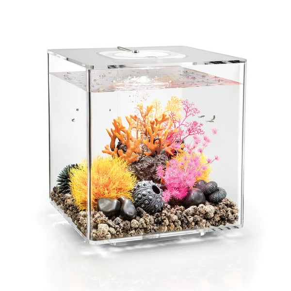 biOrb CUBE 30L Aquarium MCR-LED