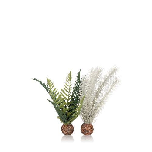 Thistle Fern Small Grey/Green