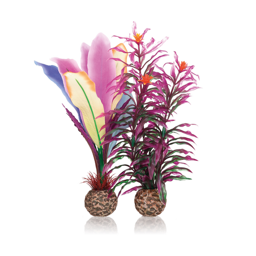 Parrot Feathers Medium