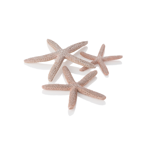 Starfish Ornament Natural