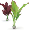 Silk Plant Crimson & Green Medium