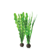 Easy Plant Set 2 Medium Green