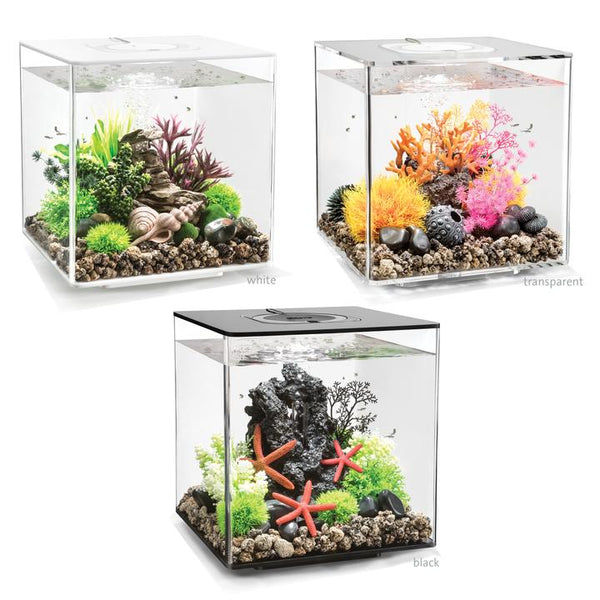 biOrb CUBE 30L Aquarium MCR-LED