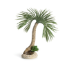 Seychelles Palm Tree Sculpture Medium