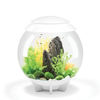 biOrb Halo 30L Aquarium MCR-LED