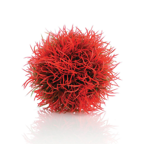 Aquatic Color Ball Red