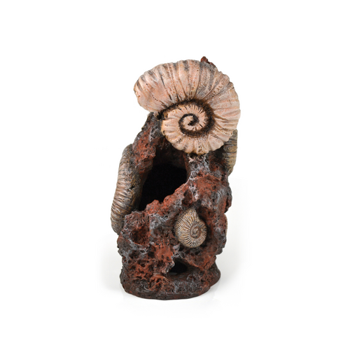 Ancient Conch Ornament