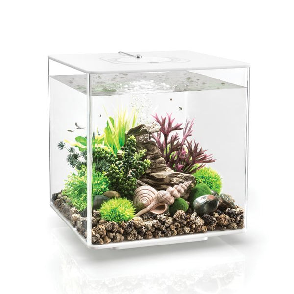 biOrb CUBE 30L Aquarium LED